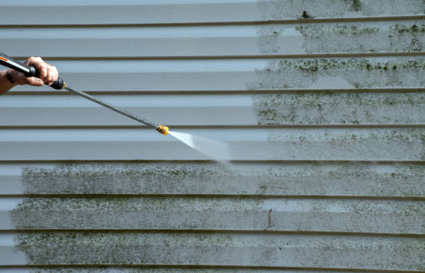 Best Gutter Cleaning  in Progress Village, FL